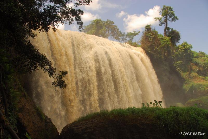 Lone tree.jpg - Near Dalat